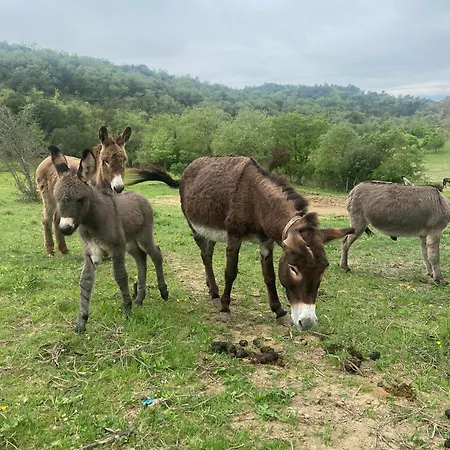 Domaine De Gourgounet à La Ferme, De Groupe 25 Couchages Avec Piscine Privative Casa vacanze