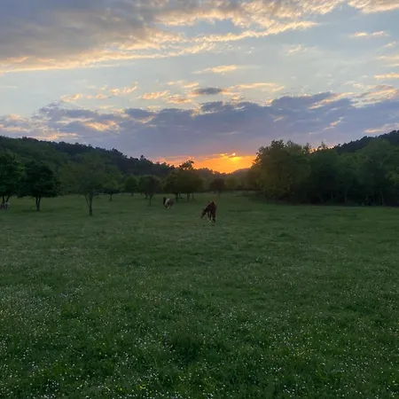 Domaine De Gourgounet à La Ferme, De Groupe 25 Couchages Avec Piscine Privative *