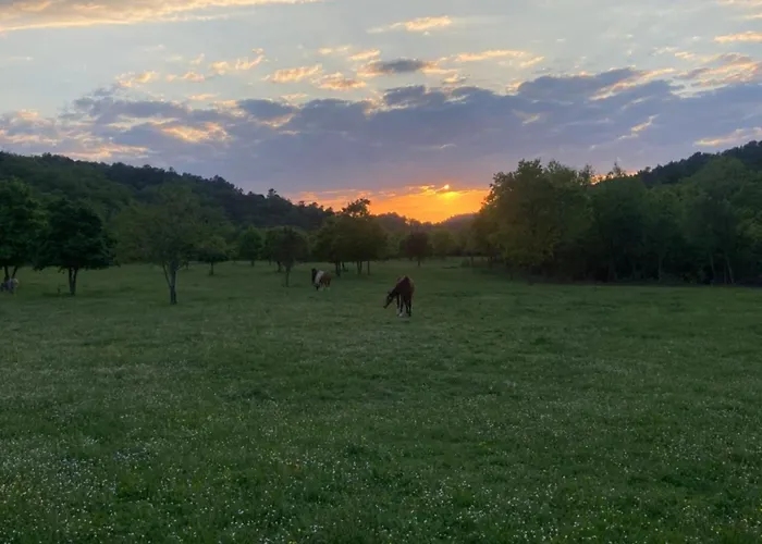 Domaine De Gourgounet A La Ferme, De Groupe 25 Couchages Avec Piscine Privative *